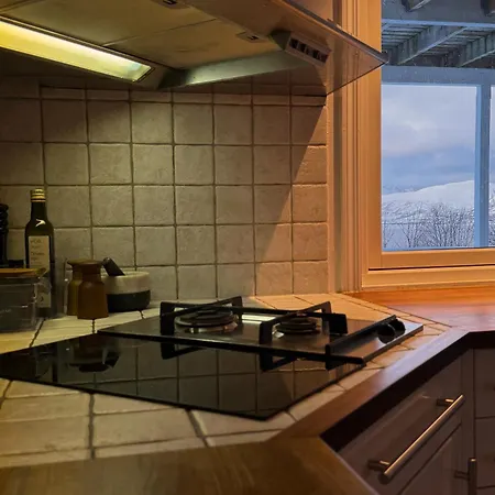 Exclusive Northernlight At Sortromsoya Semesterbostad *