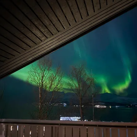 Exclusive Northernlight At Sortromsoya Semesterbostad